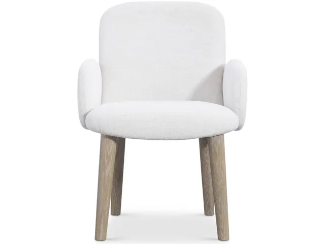 Loggia Arm Chair - Alternative View