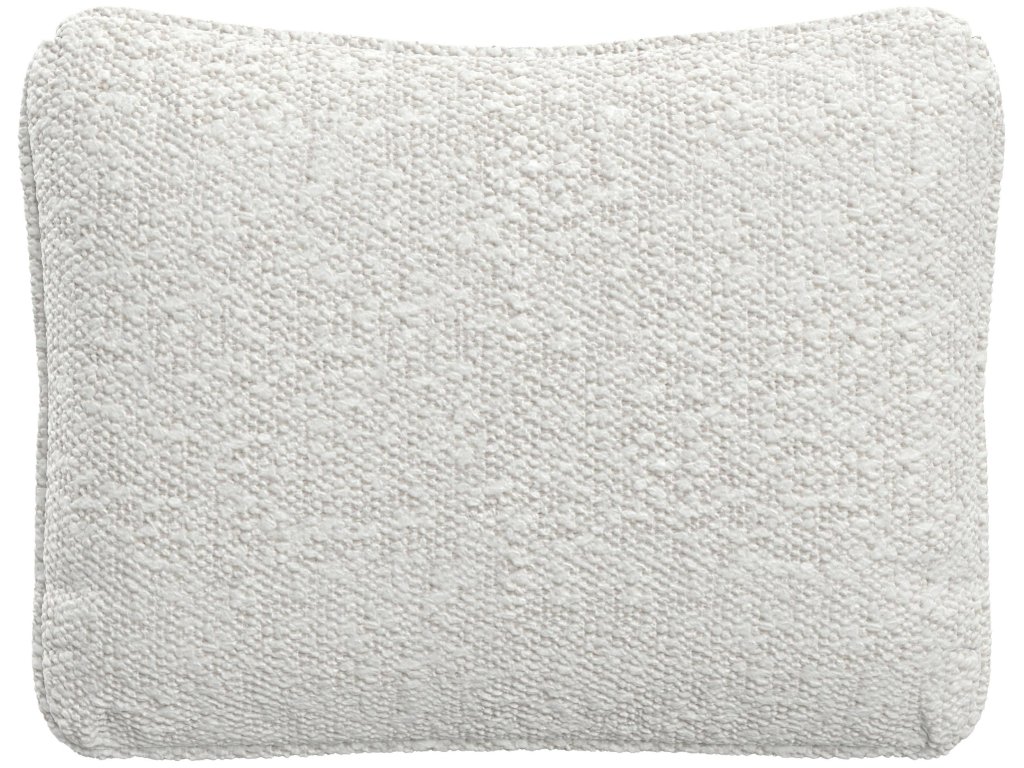 Throw Pillow (20" x 16") - main image