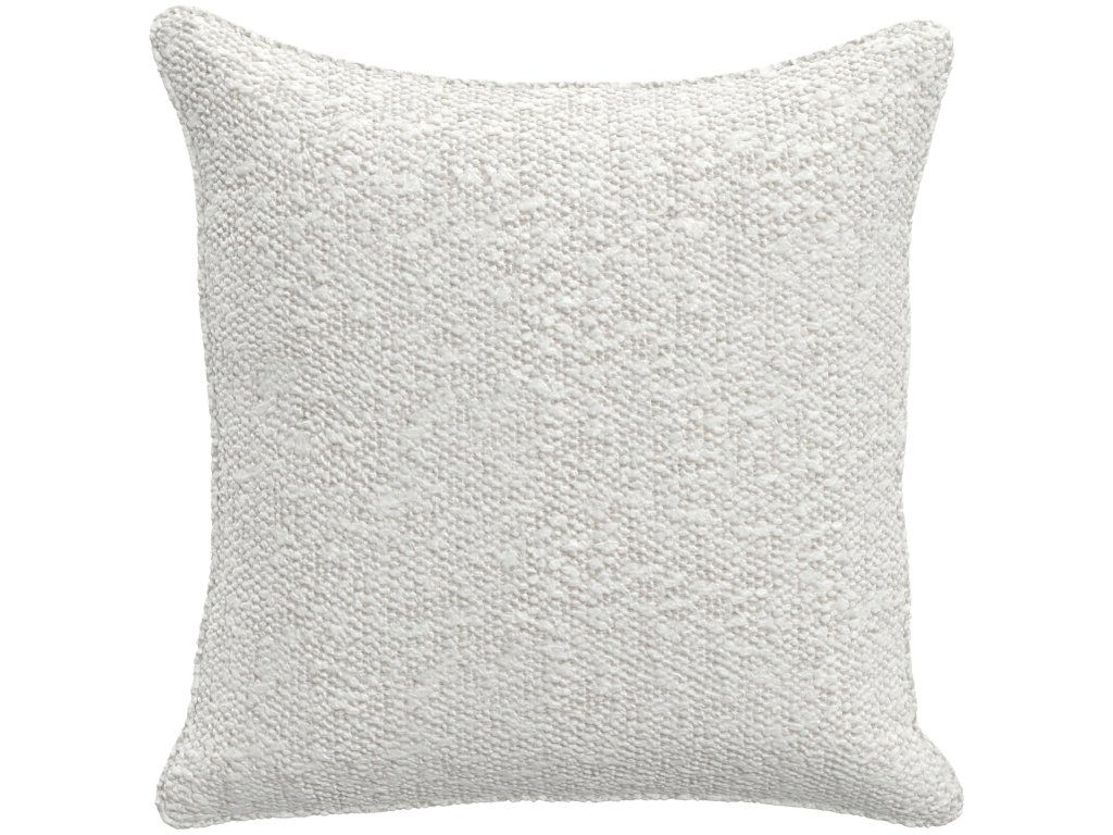 Throw Pillow (19" x 19") - main image