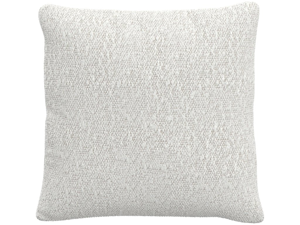 Throw Pillow (20" x 20") - main image