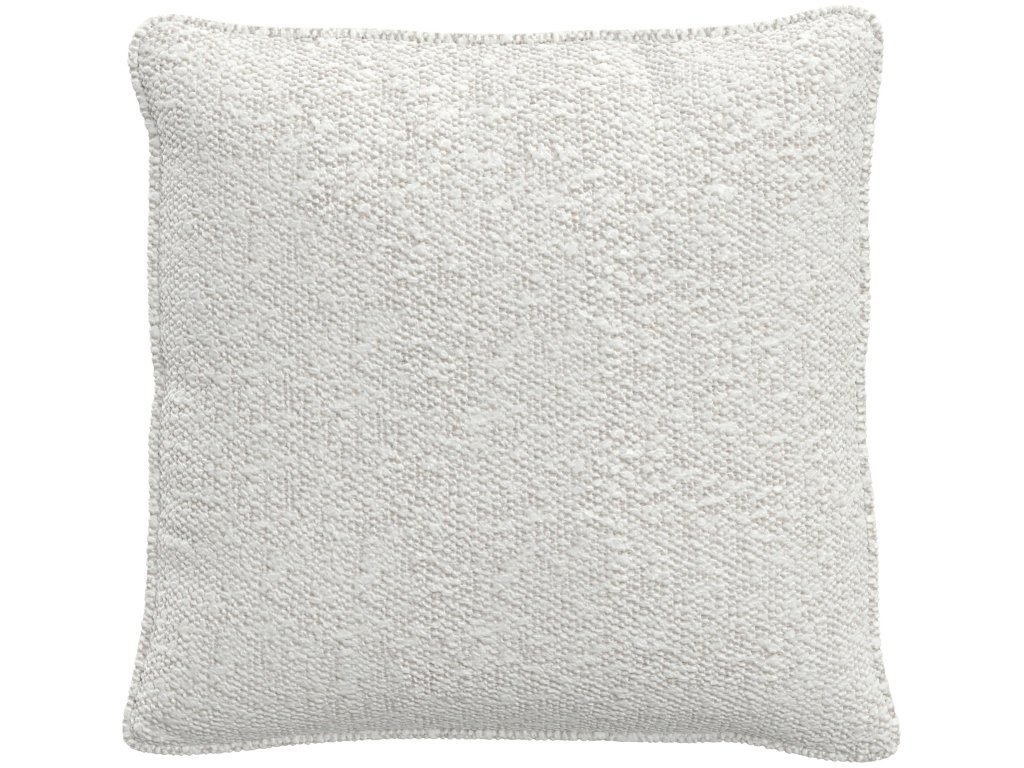 Throw Pillow (20" x 20") - main image