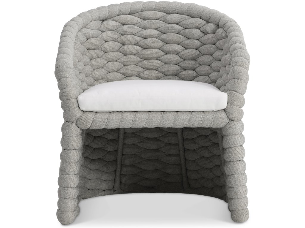 Salinas Arm Chair - image 1
