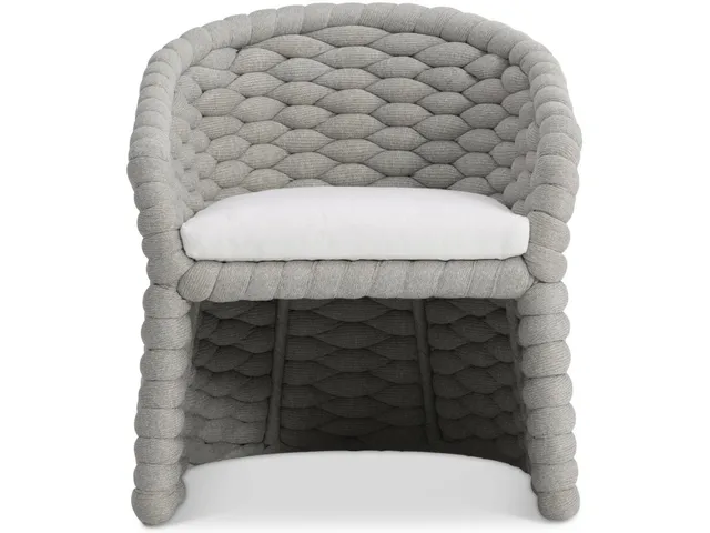 Salinas Arm Chair