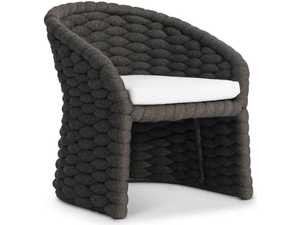 Salinas Arm Chair - main image