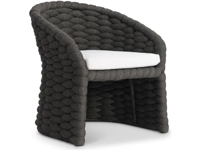 Salinas Arm Chair