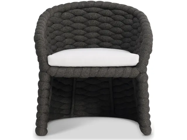 Salinas Arm Chair