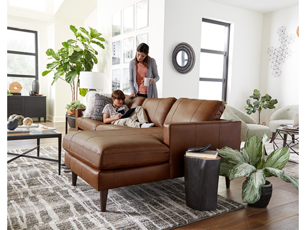 Trafton Leather Chofa - image 4