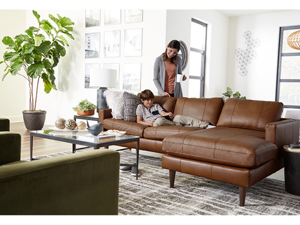 Trafton Leather Chofa - image 5