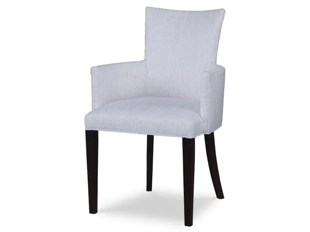 Apoise Arm Chair