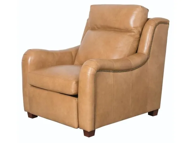 Franklin Electric Motion Wh Chair