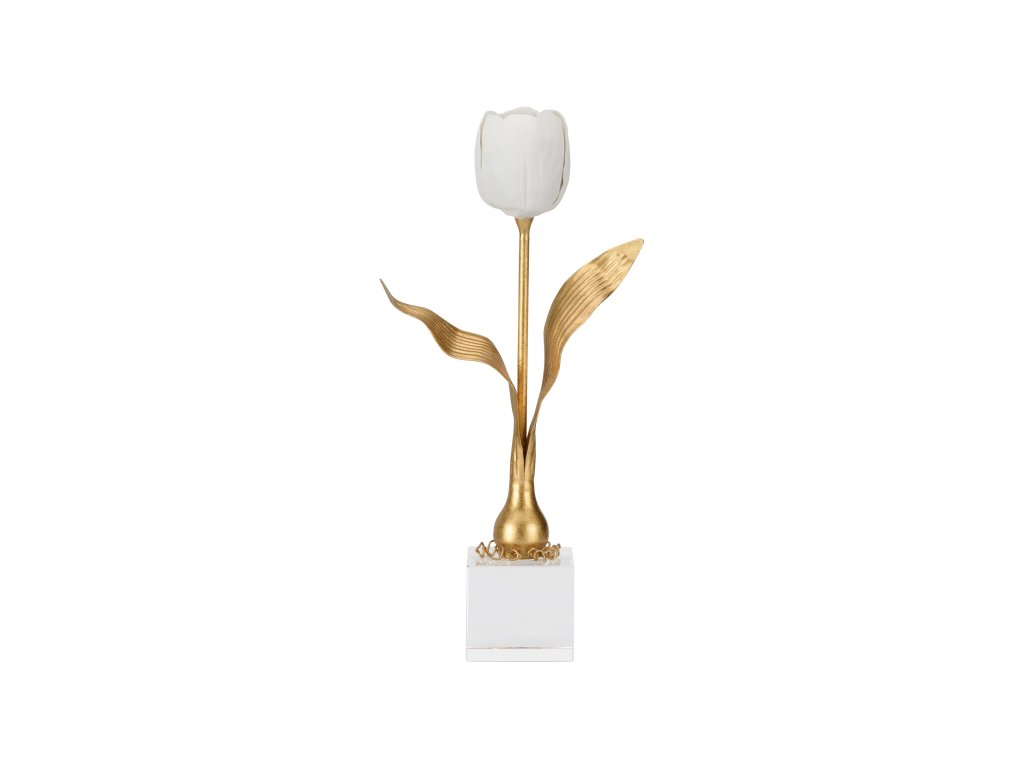 Darwin Tulip On Stand - image 1