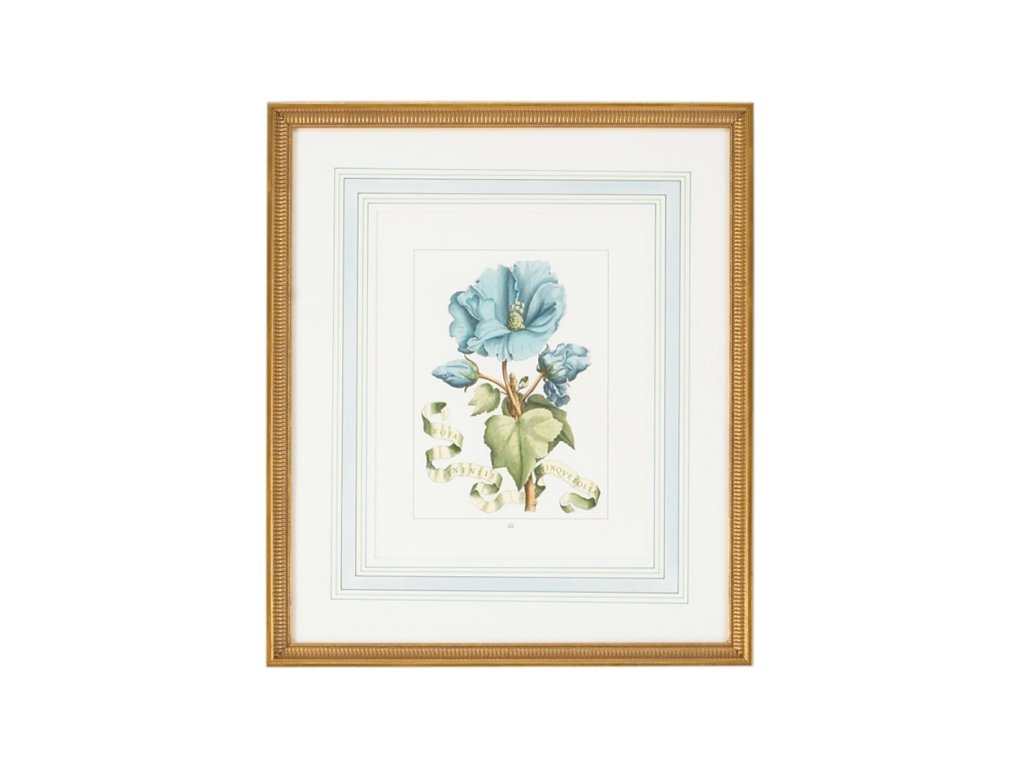 Bl Floral With Ribbon-A - main image
