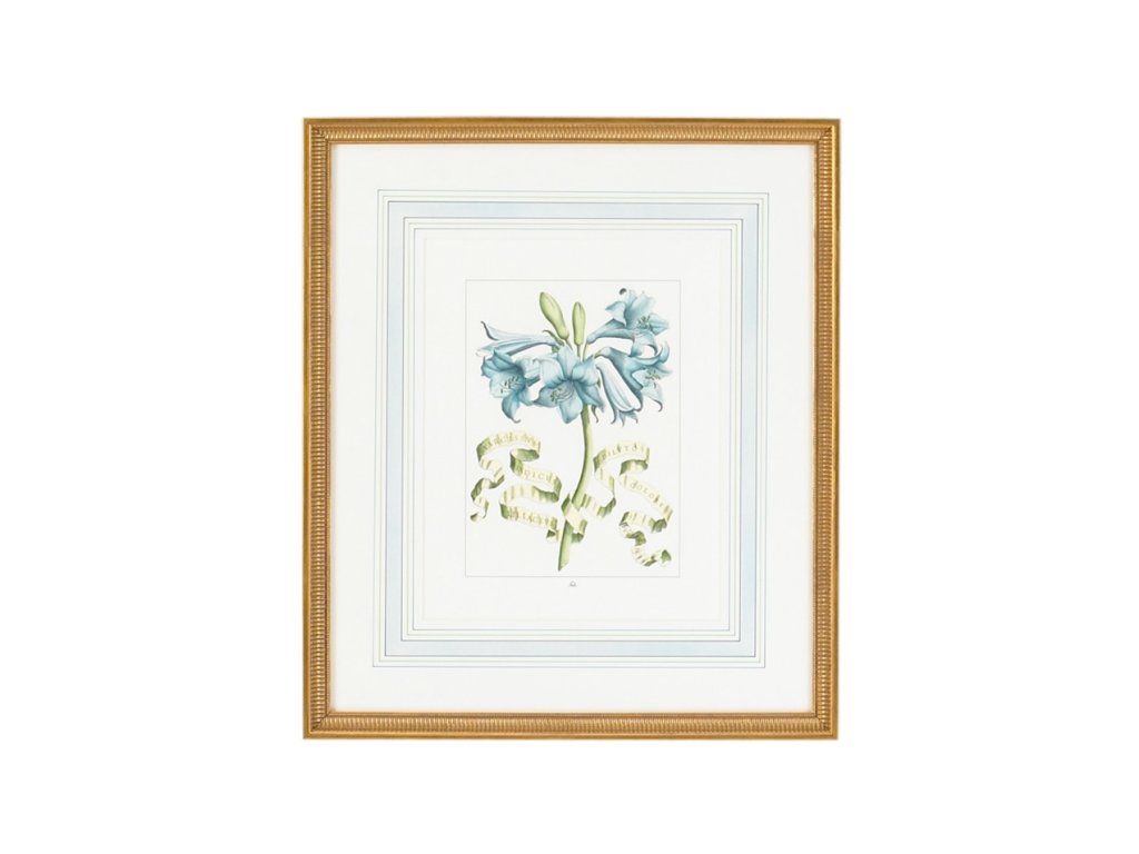 Bl Floral With Ribbon-C - main image