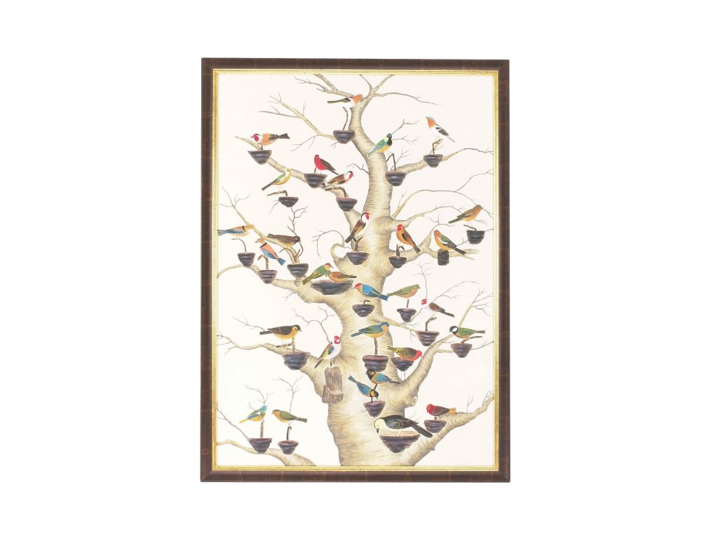 The Aviary - main image