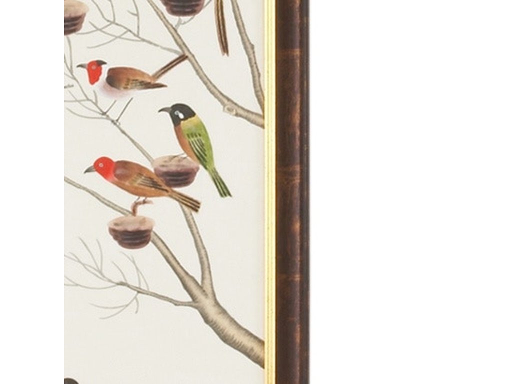 Small Aviary - A - image 1