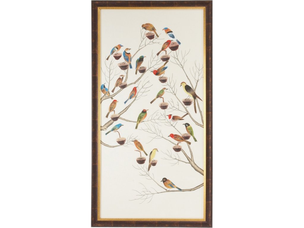 Small Aviary - A - main image
