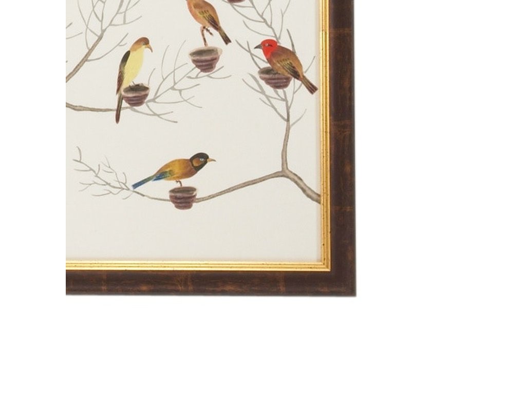 Small Aviary - B - image 1