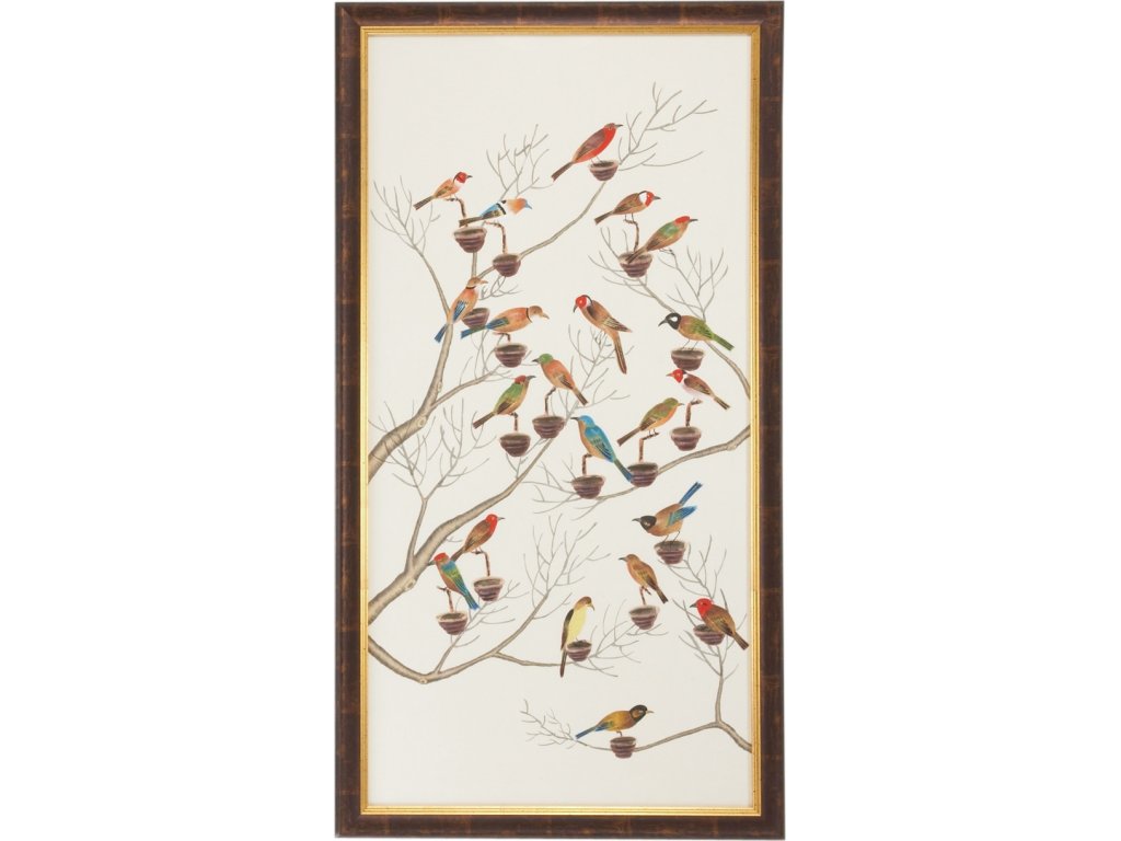 Small Aviary - B - main image