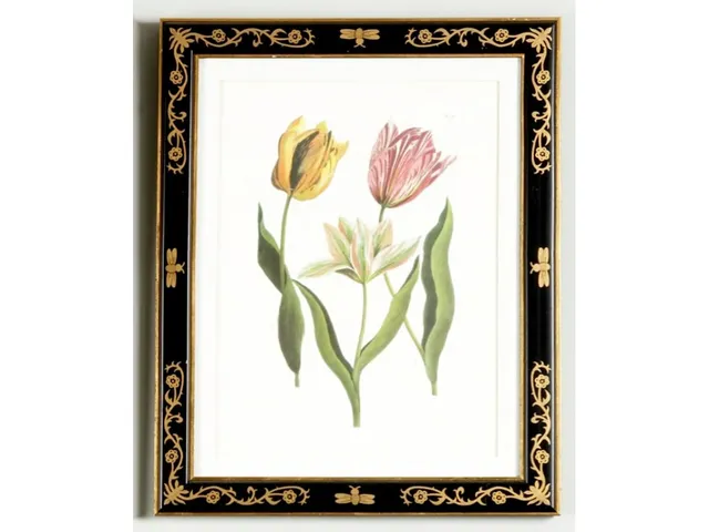 Tulip/Dec.frame(991)