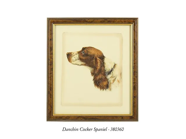Danchin Brittany Spaniel - Alternative View