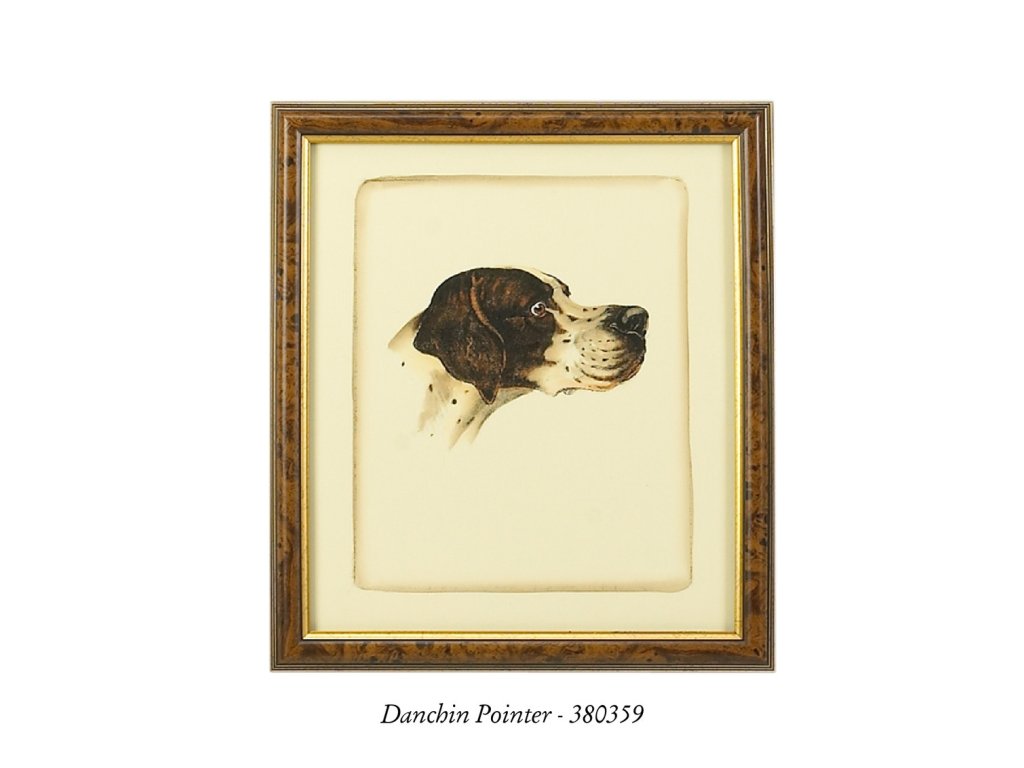 Danchin Brittany Spaniel - image 2