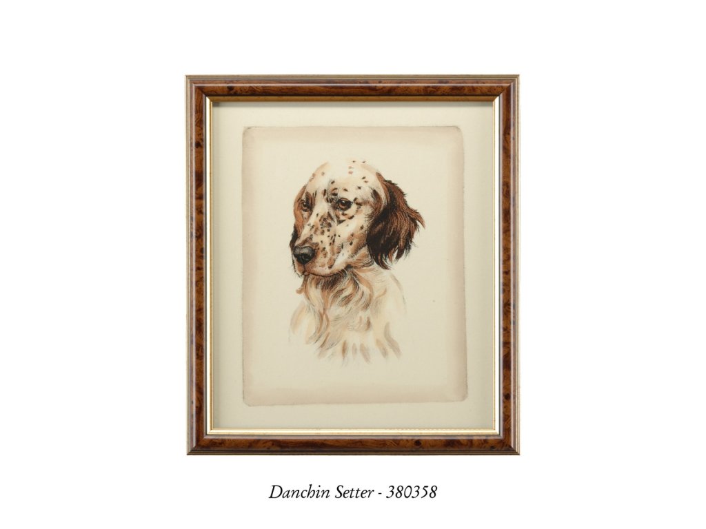 Danchin Brittany Spaniel - image 3
