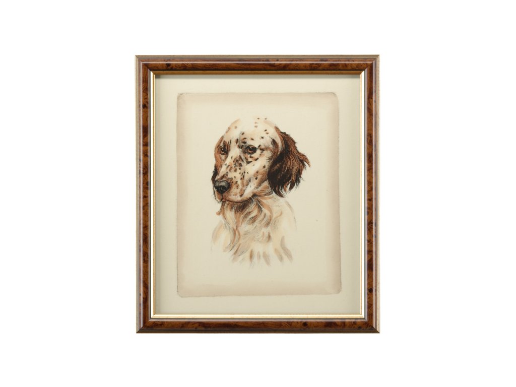 Danchin Setter - main image