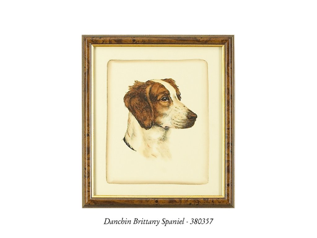 Danchin Pointer - image 1