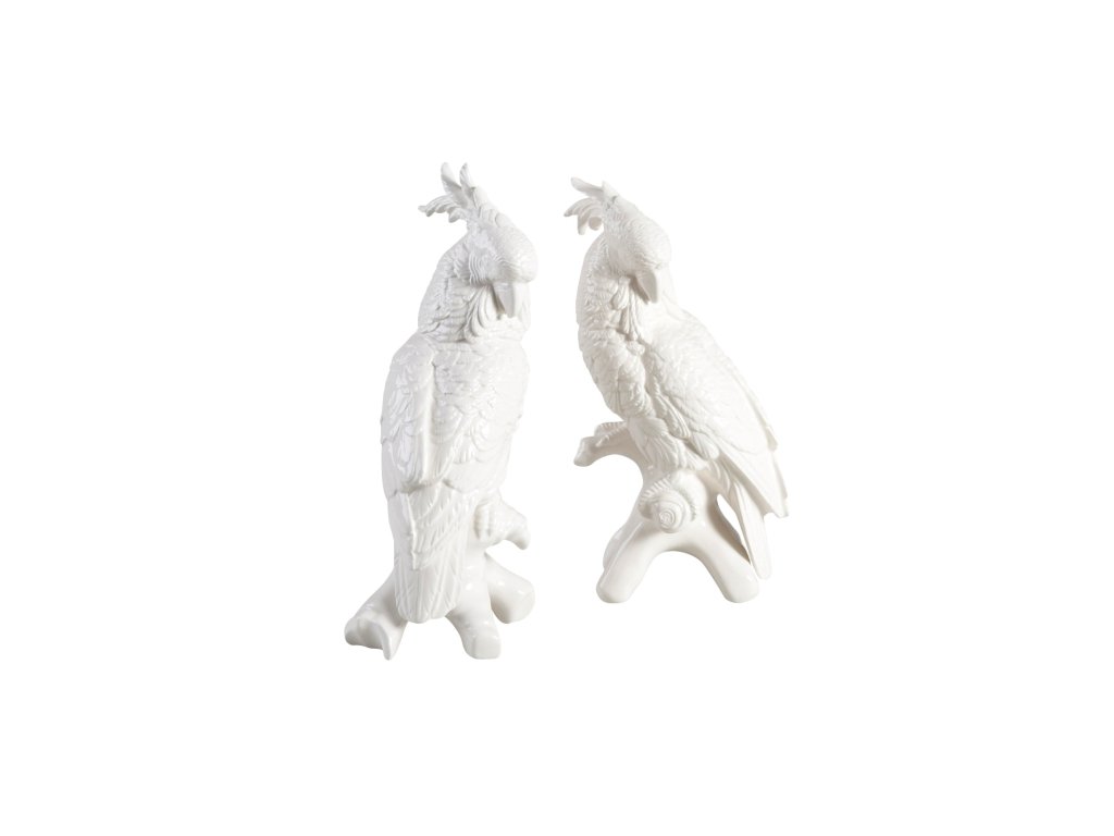 Cockatoos (Pr) - main image