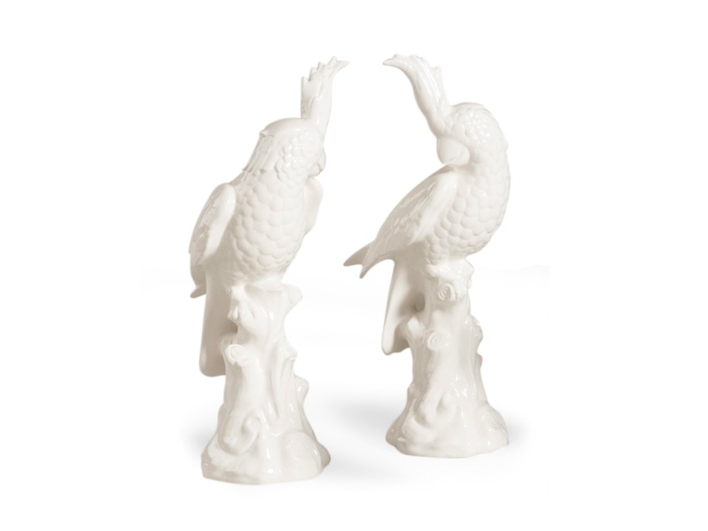 Large Parrots - White (Pr) - main image
