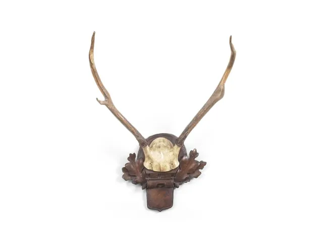 Deer Antlers (Sm)