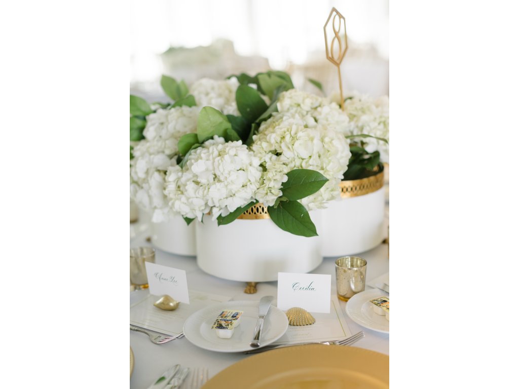 Tracery Cachepot - Cream - image 4