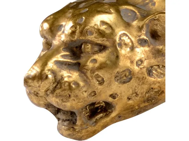 Leopard - Alternative View