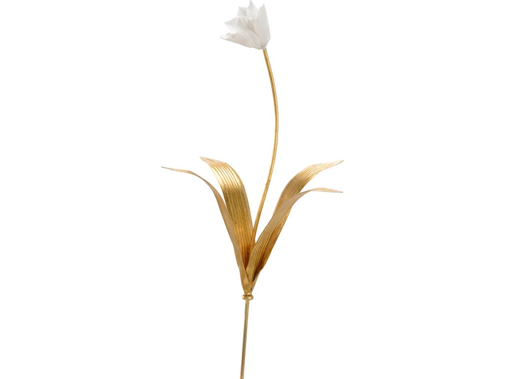 Tulip Stem (Sm) - main image