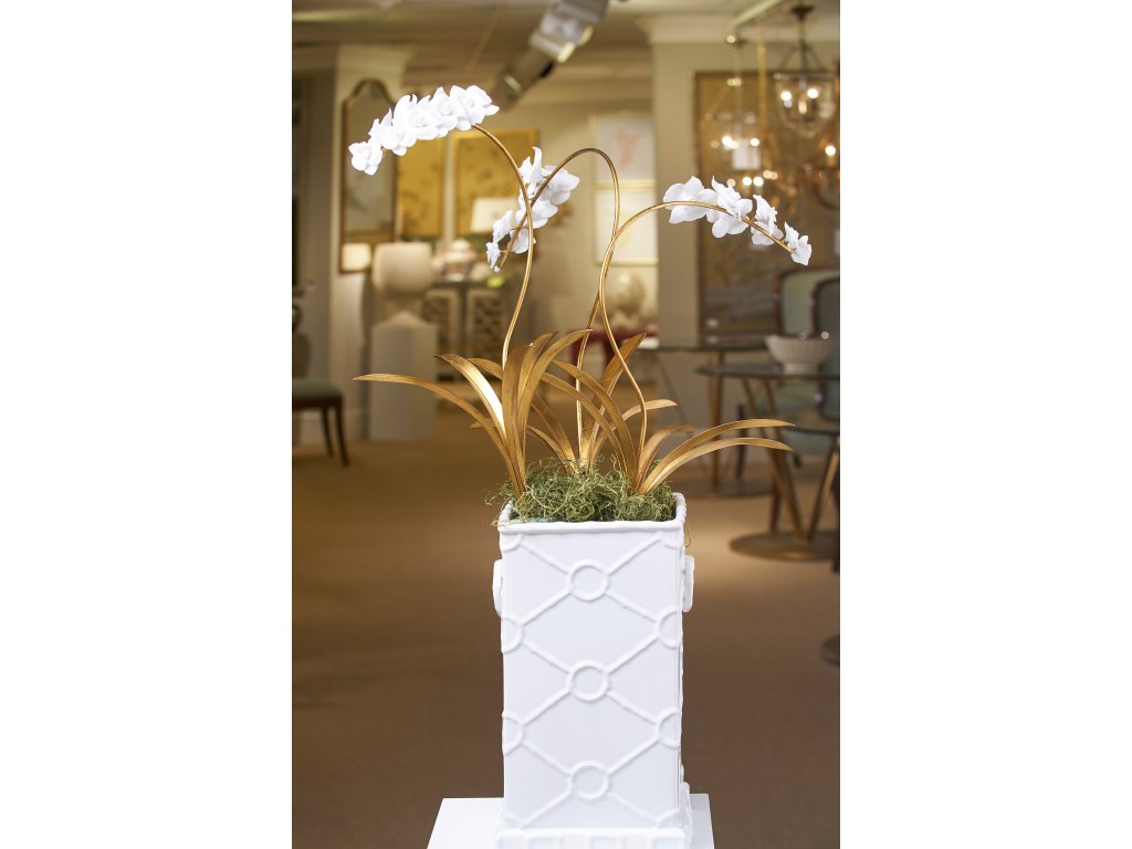 Orchid Stem (Med) - image 4