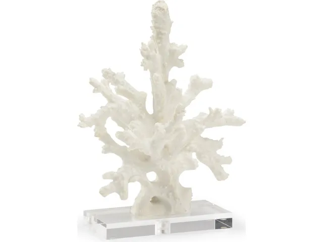 Coral Sculpture