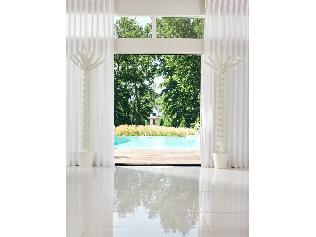Palm Tree - White - image 3