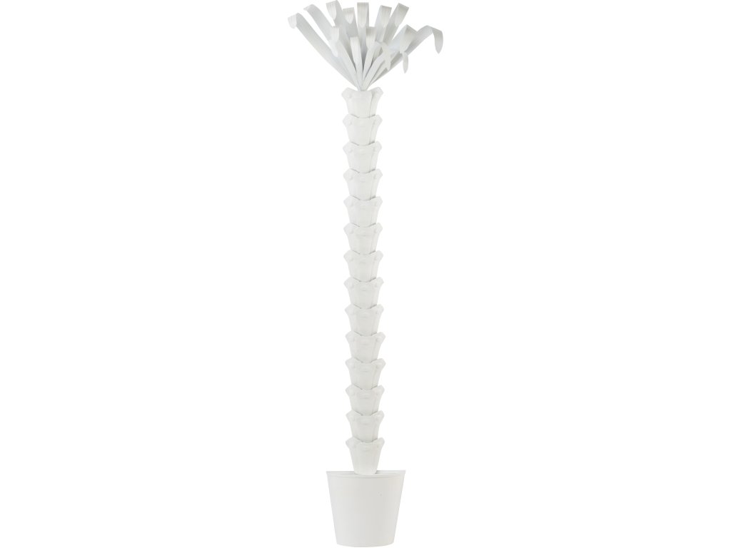 Palm Tree - White - main image