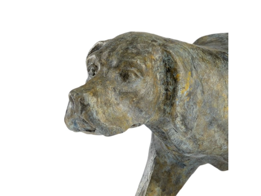 Pointer - Verde - image 1