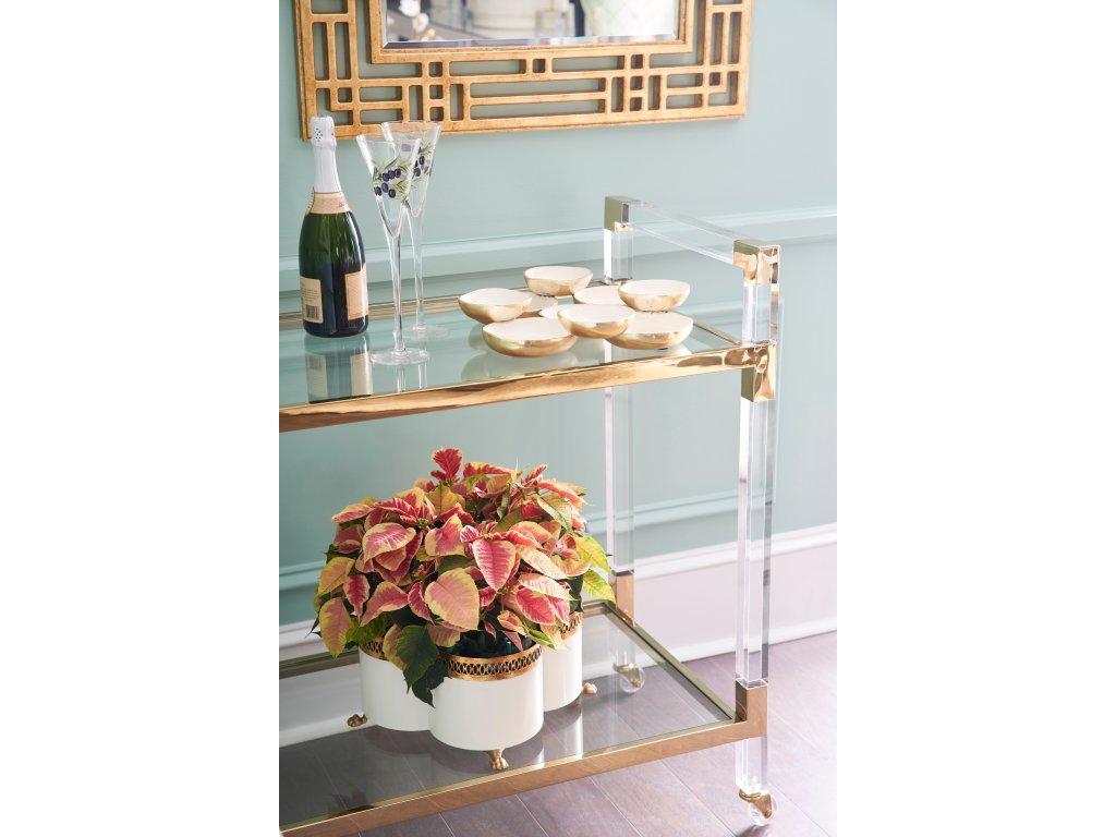 Acrylic Bar Cart - Brass - image 8