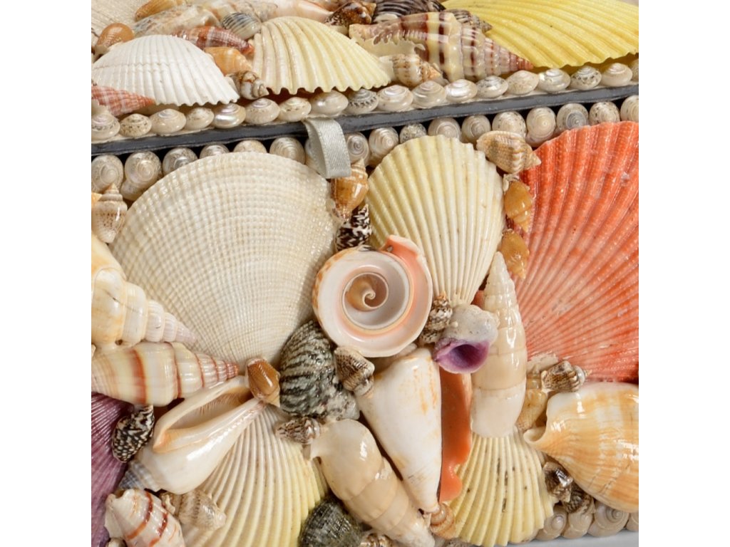 Shell Boxes (S3) - image 1