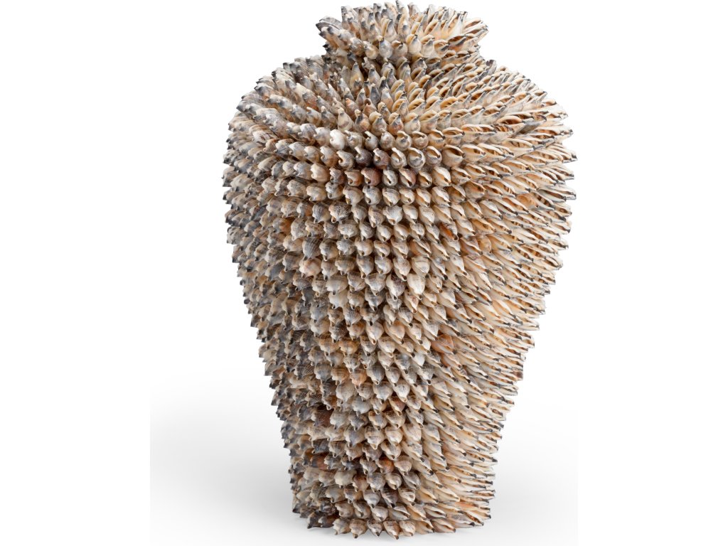 Strombus Shell Vase - main image