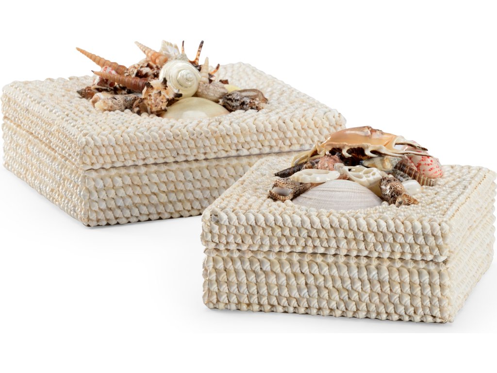 White Shell Boxes (S2) - main image