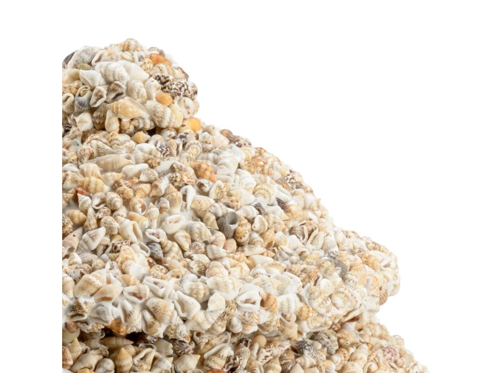 Shell Covered Urn - image 1