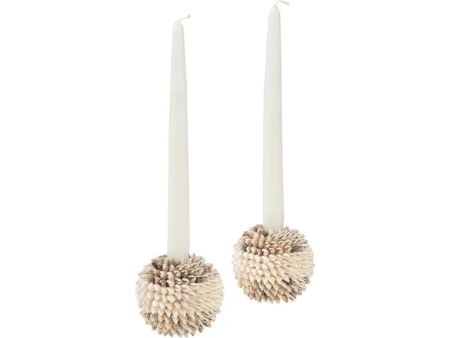 Nassa Shell Candleholder (Pr)