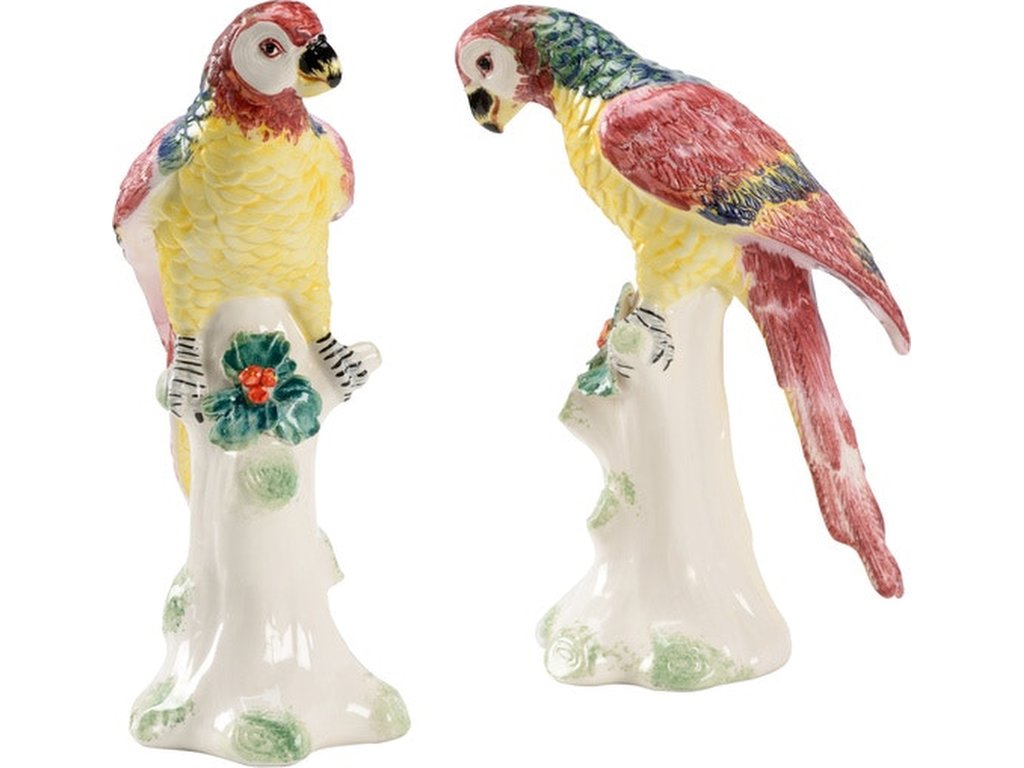 Small Amazon Parrots (Pr) - main image