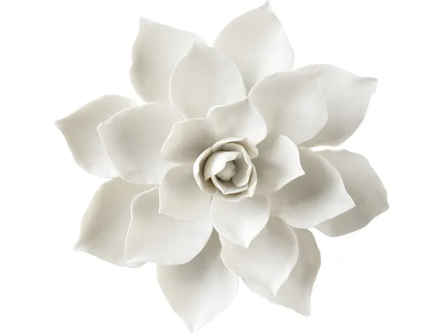 Magnolia Wall Flower