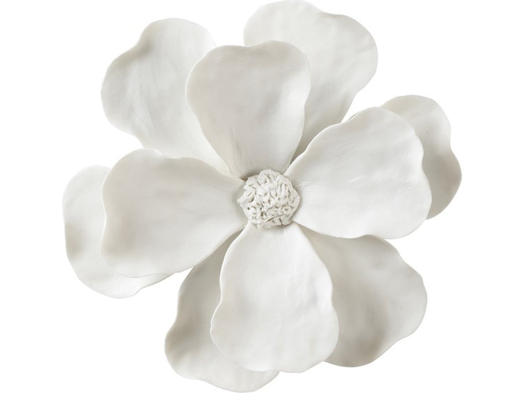 Camellia Wall Flower - main image