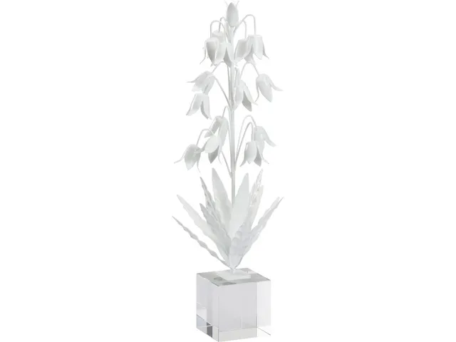 Lily Of The Valley - White