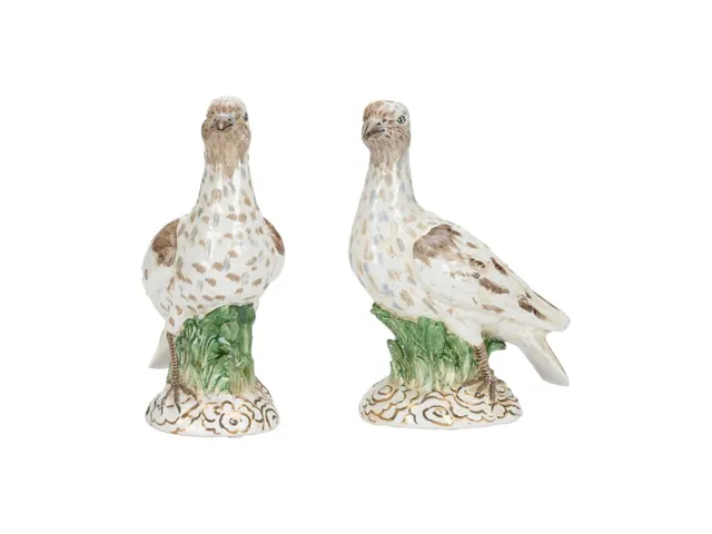 Terns (Pr) - Alternative View